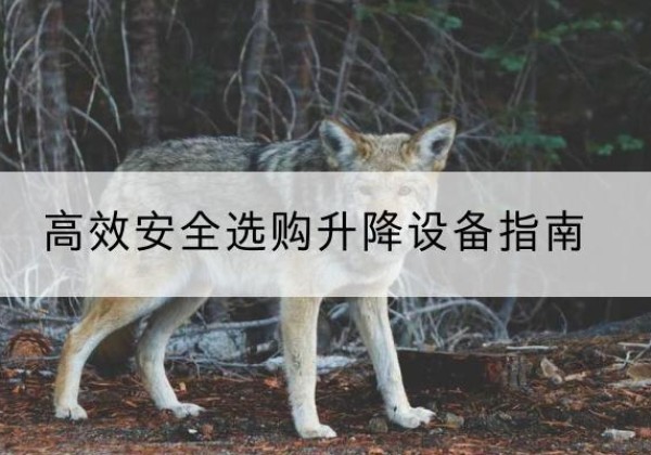 安龙升降货梯厂家推荐-*安全选购升降设备指南