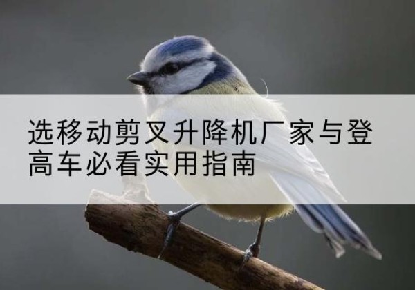 安龙电动升降机厂家-选移动剪叉升降机厂家与登高车必看实用指南