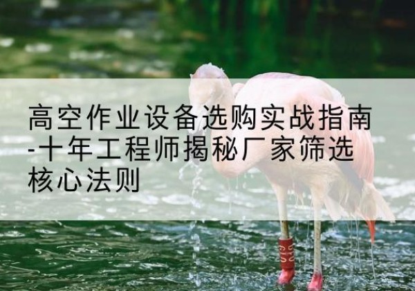 安龙剪叉式升降机厂家-高空作业设备选购实战指南-十年工程师揭秘厂家筛选核心法则